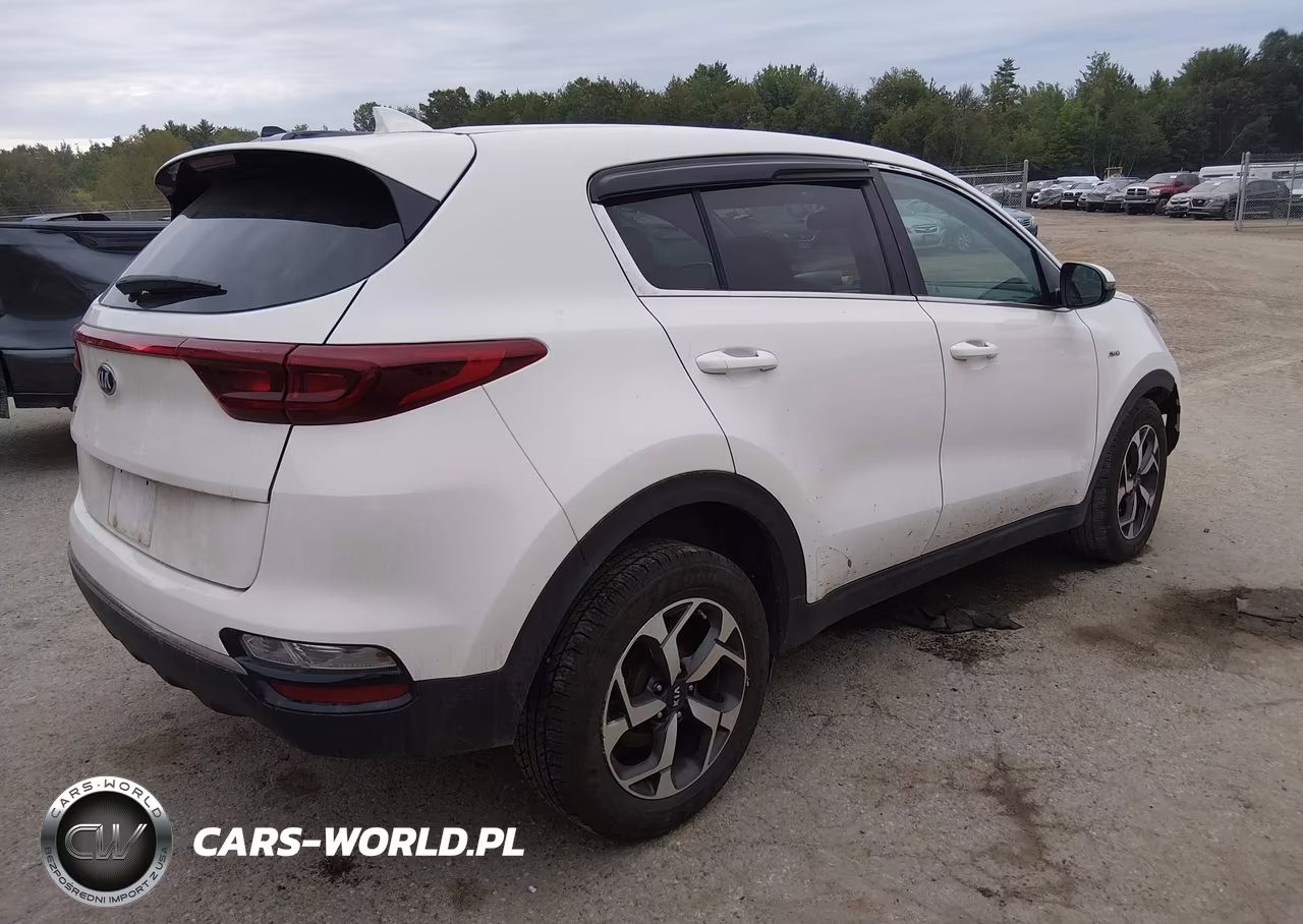 2020 Kia Sportage Lx VIN:KNDPMCAC0L7663481 - 4