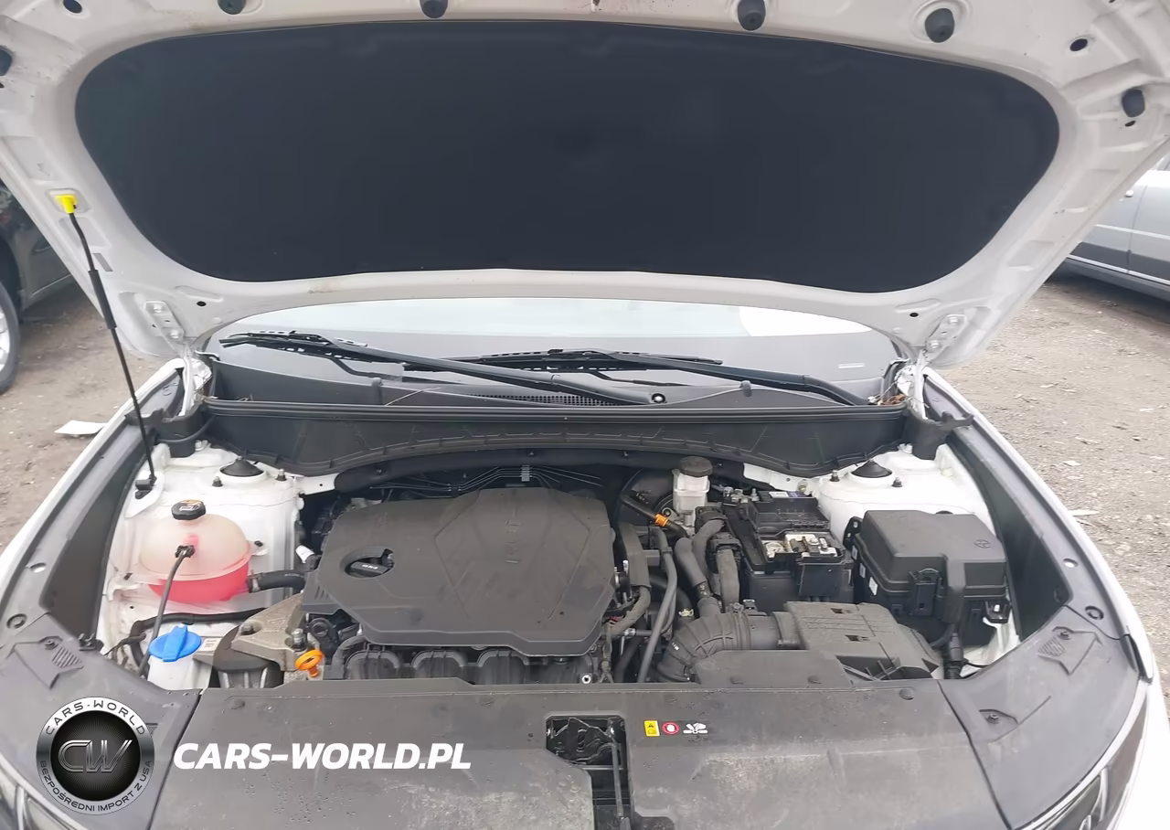 2022 Hyundai Tucson Limited VIN:5NMJECAE5NH113256 - 10