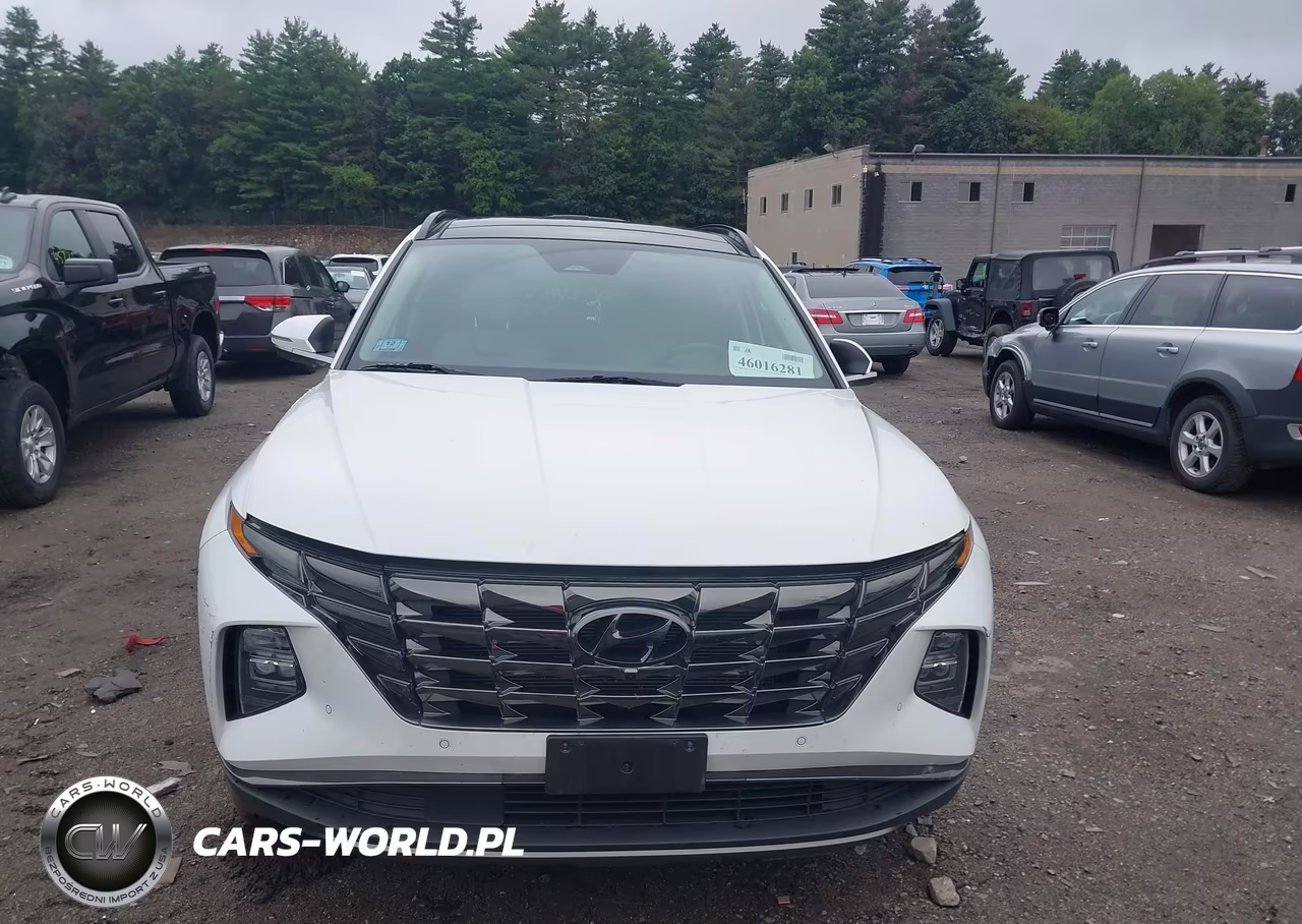 2022 Hyundai Tucson Limited VIN:5NMJECAE5NH113256 - 13