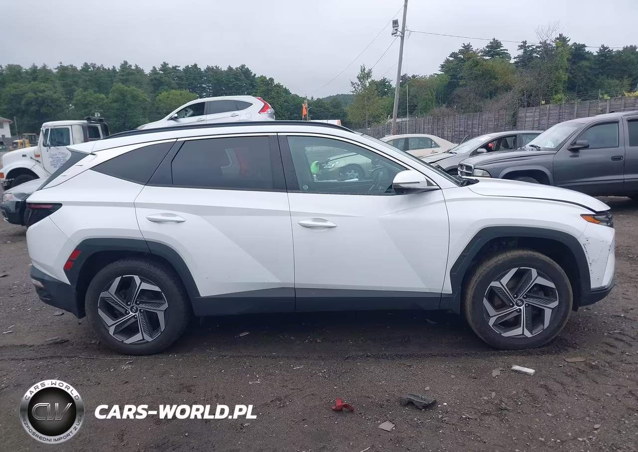 2022 Hyundai Tucson Limited VIN:5NMJECAE5NH113256 - 14