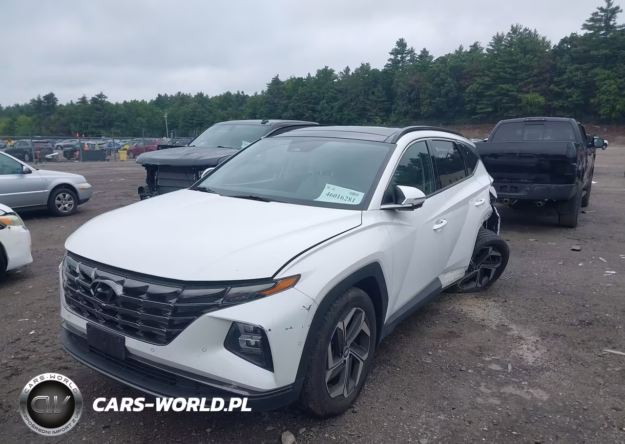2022 Hyundai Tucson Limited VIN:5NMJECAE5NH113256 - 2