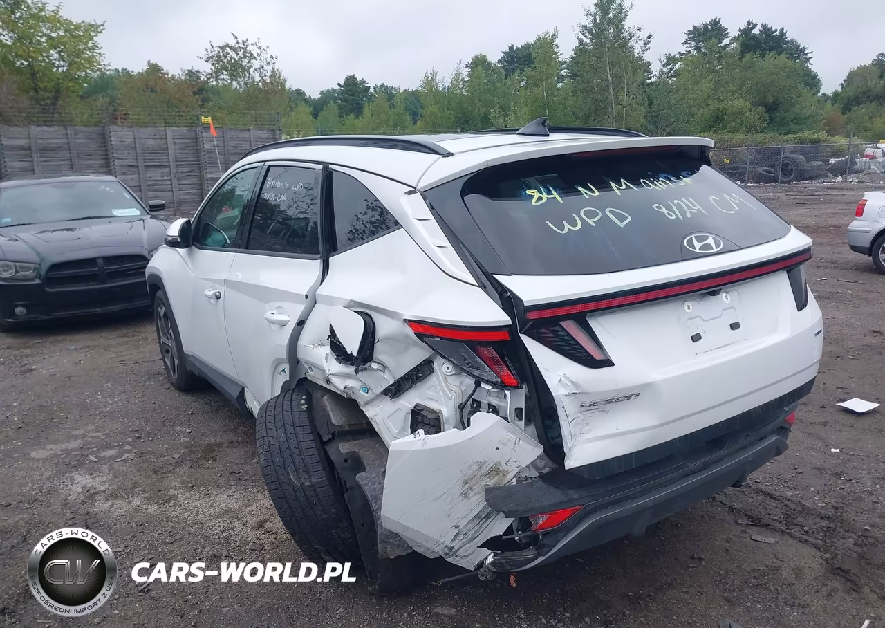 2022 Hyundai Tucson Limited VIN:5NMJECAE5NH113256 - 3