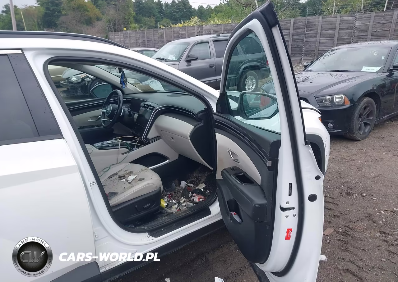 2022 Hyundai Tucson Limited VIN:5NMJECAE5NH113256 - 5