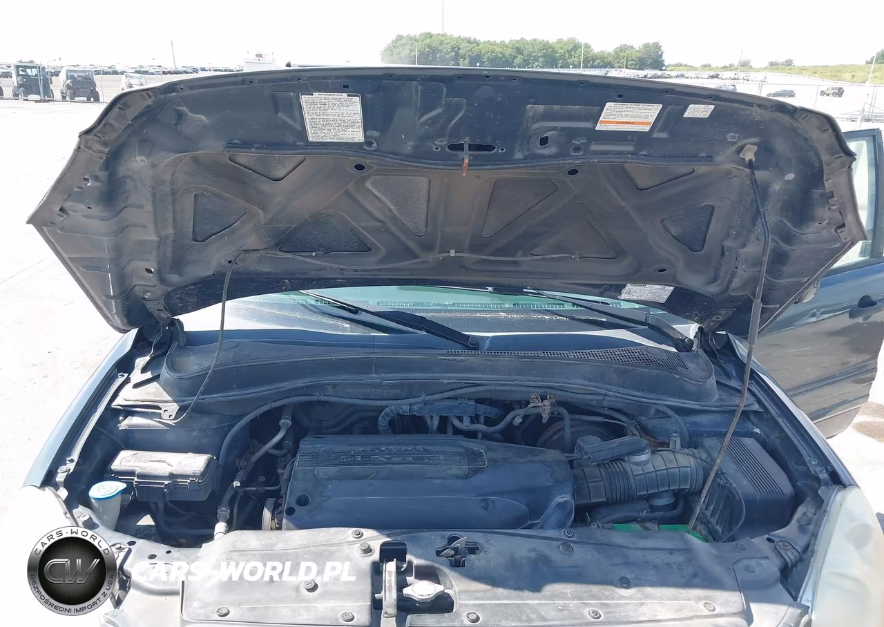 2004 Honda Pilot Ex VIN:2HKYF18414H606902 - 10