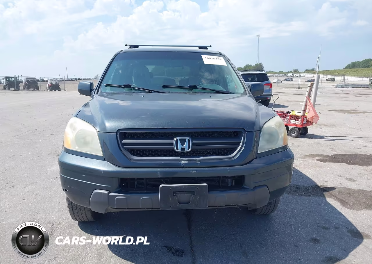 2004 Honda Pilot Ex VIN:2HKYF18414H606902 - 6