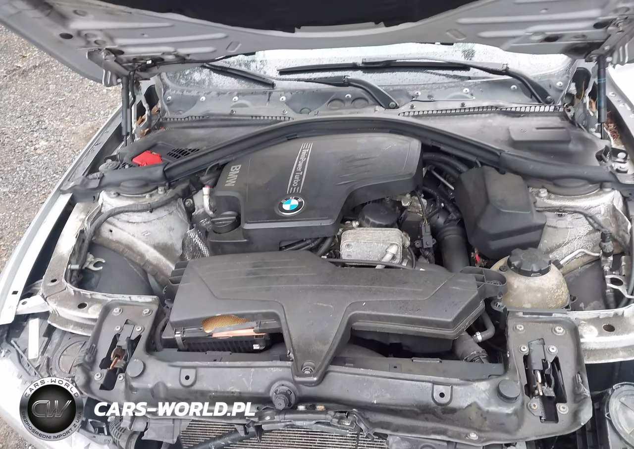 2014 BMW 320I xDrive VIN:WBA3C3G58ENS68664 - 10