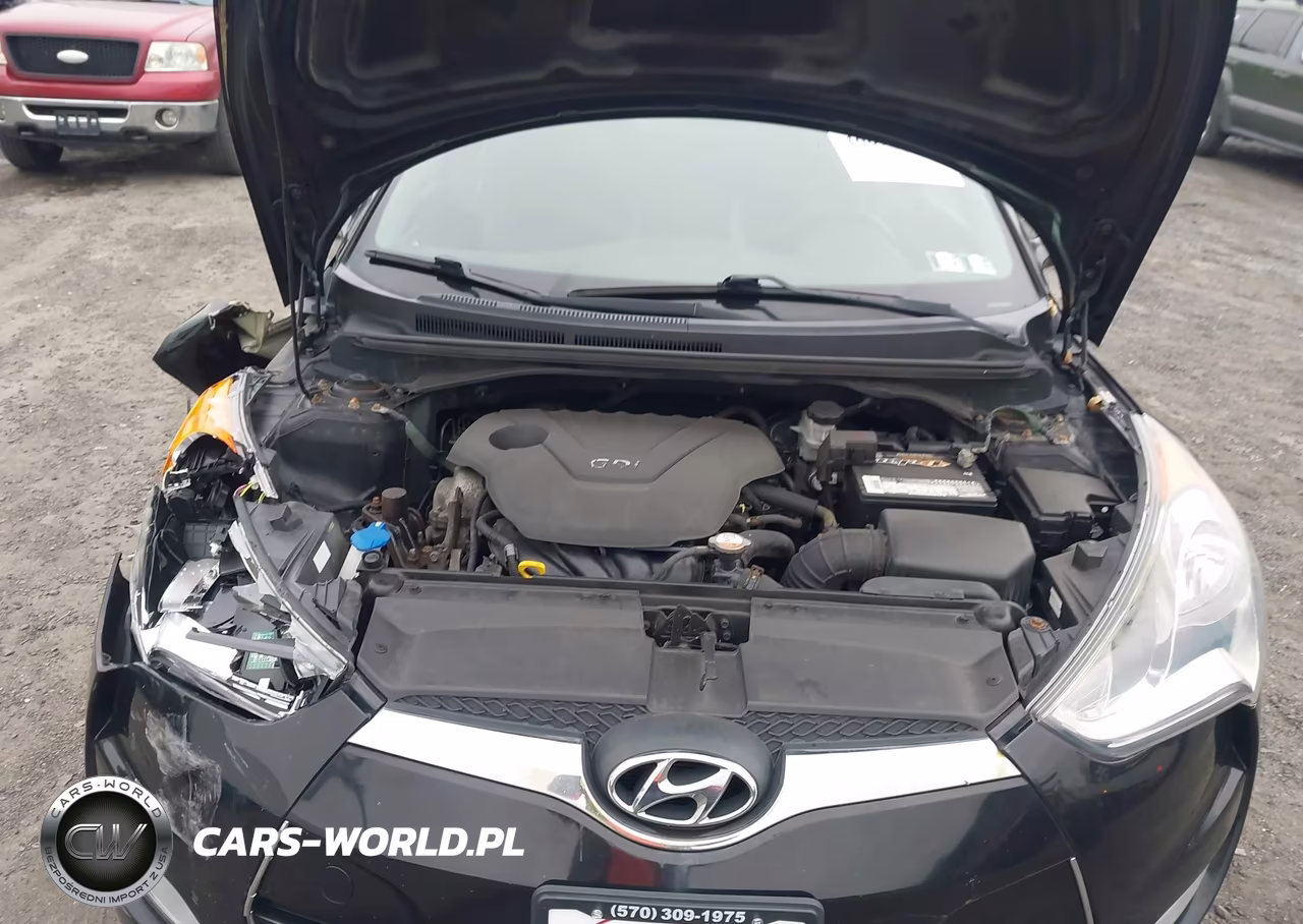 2013 Hyundai Veloster Base W-Black VIN:KMHTC6AD1DU145356 - 10
