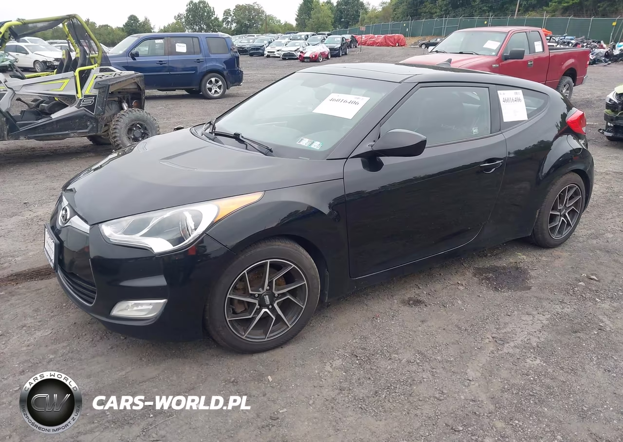 2013 Hyundai Veloster Base W-Black VIN:KMHTC6AD1DU145356 - 2