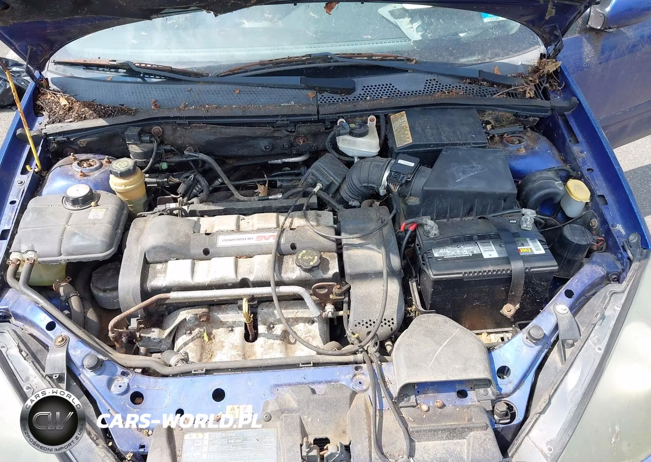 2002 Ford Focus Svt VIN:3FAHP39552R191387 - 10