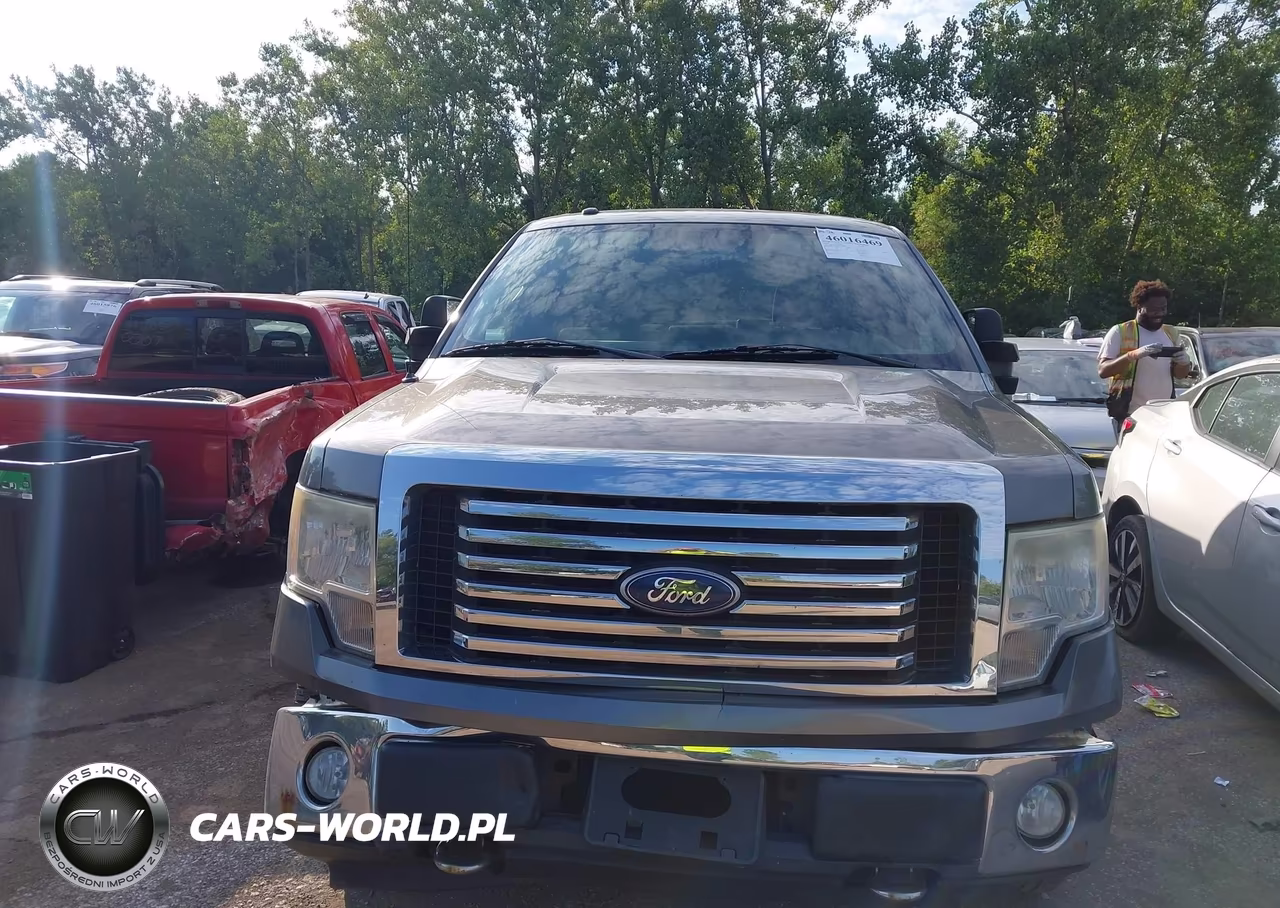 2010 Ford F-150 VIN:1FTFW1EV8AFD14089 - 12