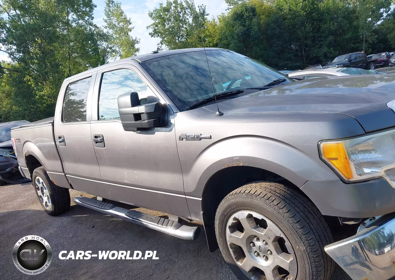 2010 Ford F-150 VIN:1FTFW1EV8AFD14089 - 13
