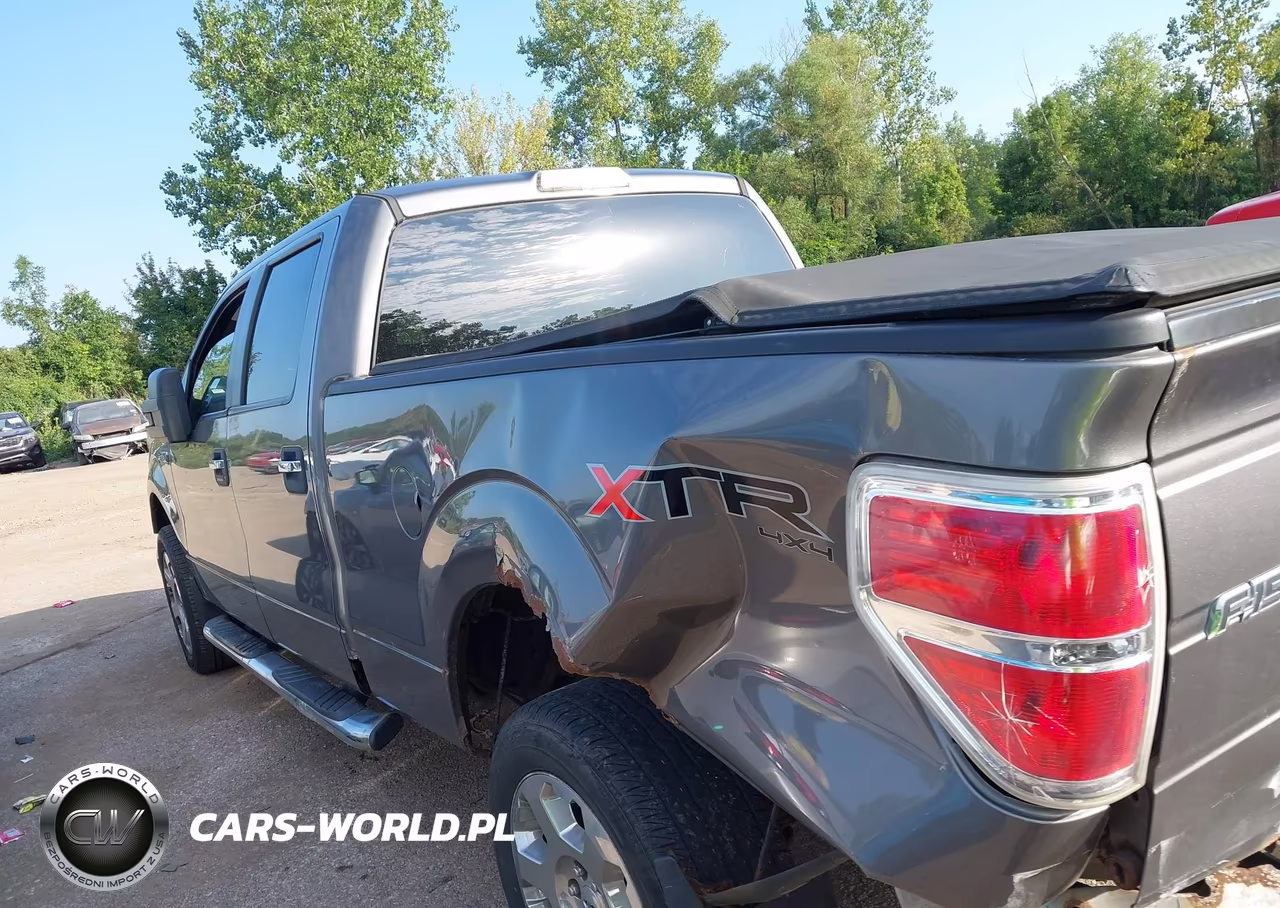 2010 Ford F-150 VIN:1FTFW1EV8AFD14089 - 14