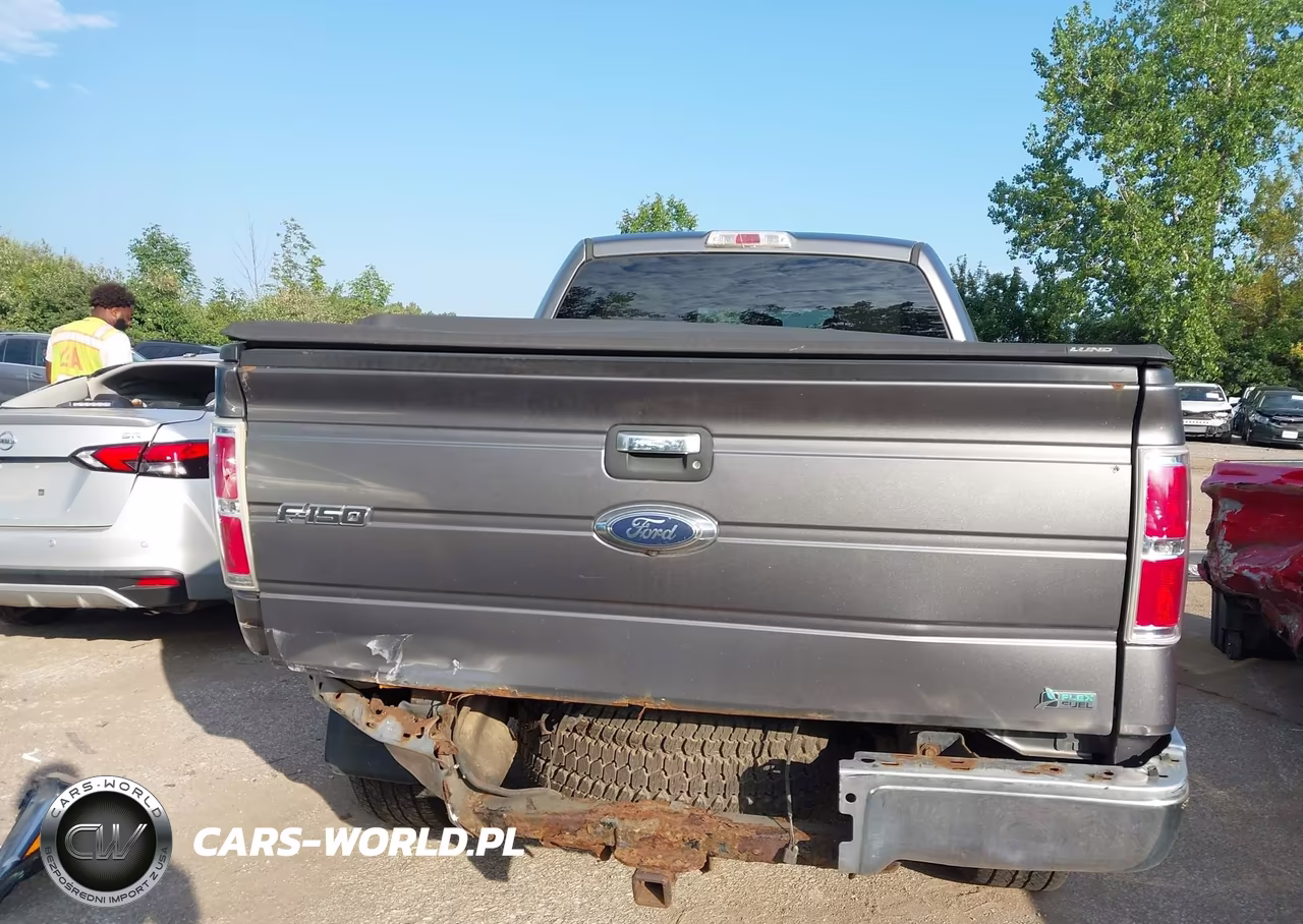 2010 Ford F-150 VIN:1FTFW1EV8AFD14089 - 16
