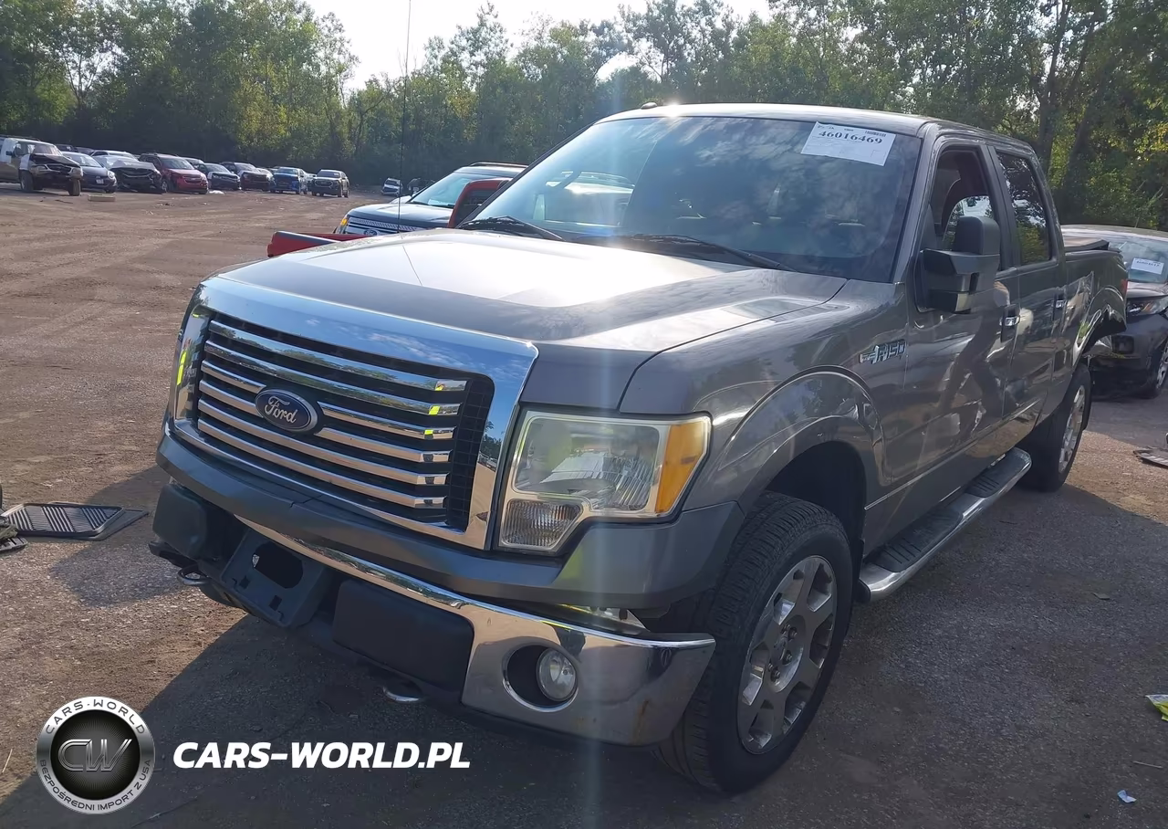 2010 Ford F-150 VIN:1FTFW1EV8AFD14089 - 2