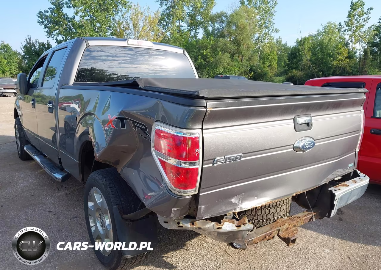 2010 Ford F-150 VIN:1FTFW1EV8AFD14089 - 3
