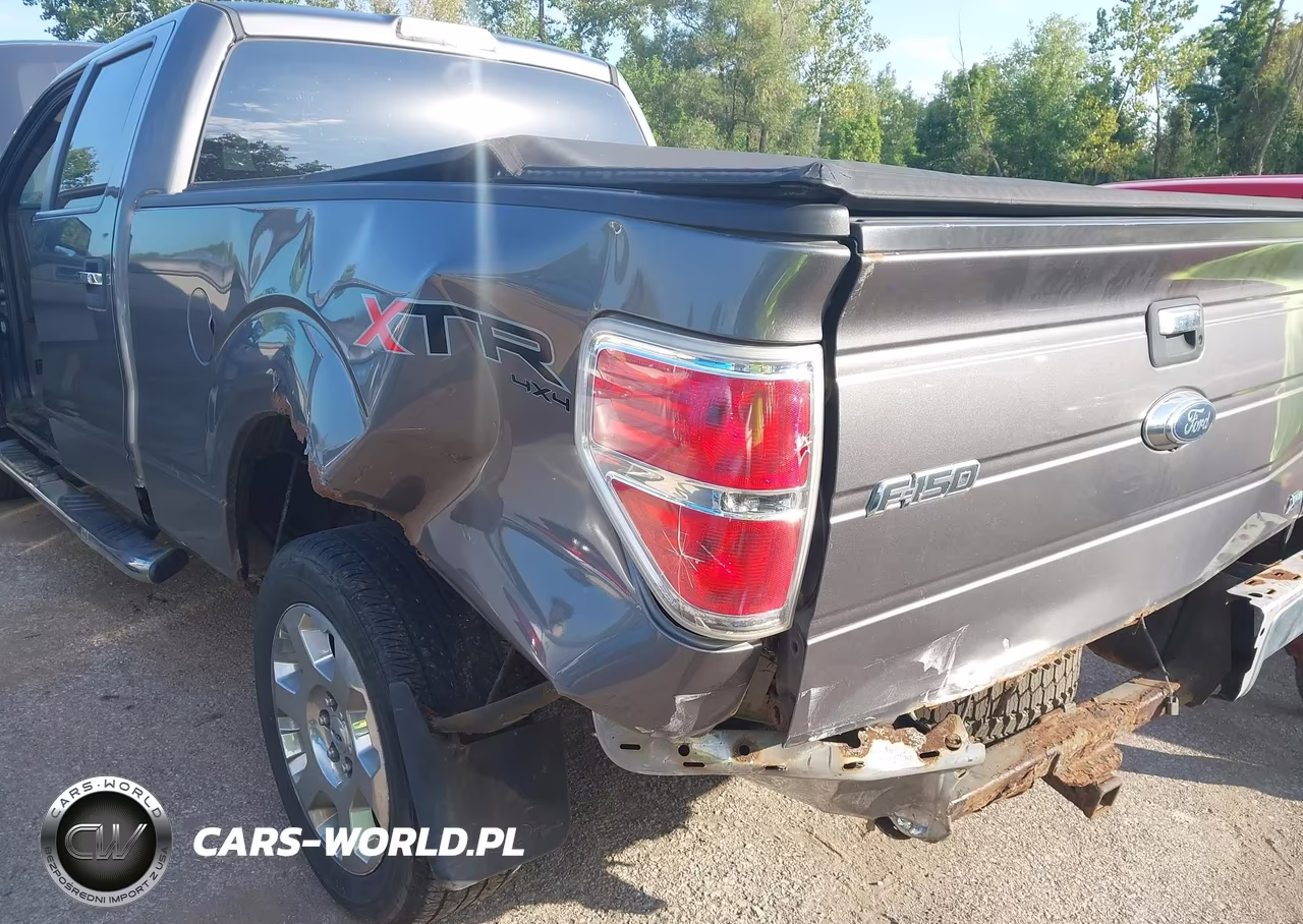 2010 Ford F-150 VIN:1FTFW1EV8AFD14089 - 6