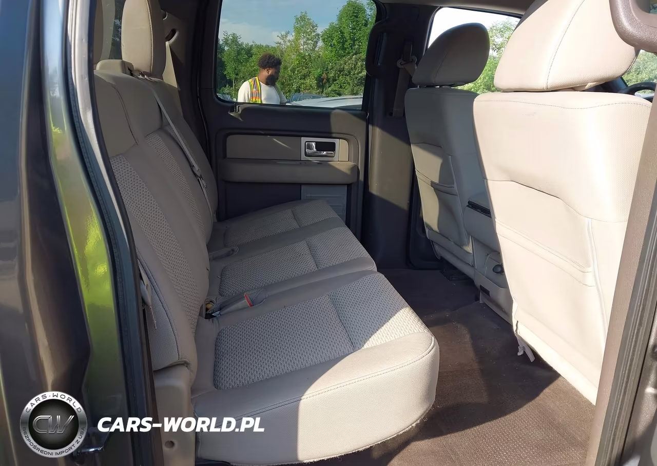 2010 Ford F-150 VIN:1FTFW1EV8AFD14089 - 8