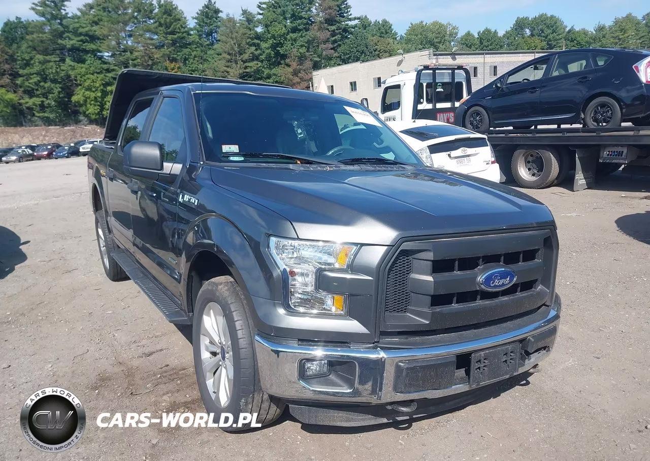 2016 Ford F-150 Xl VIN:1FTEW1EP3GKE37764 - 12