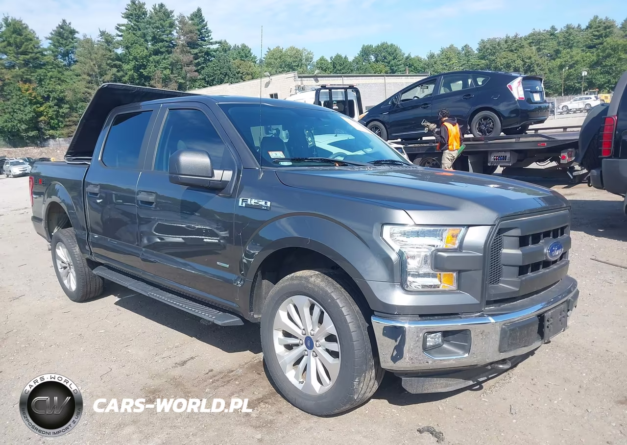 2016 Ford F-150 Xl VIN:1FTEW1EP3GKE37764 - 13