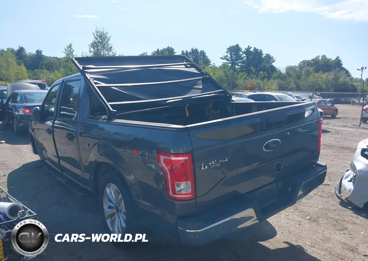2016 Ford F-150 Xl VIN:1FTEW1EP3GKE37764 - 14