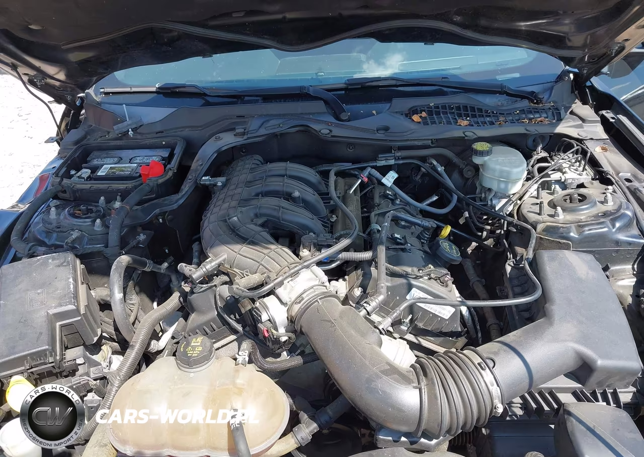 2017 Ford Mustang V6 VIN:1FA6P8AM0H5301619 - 10