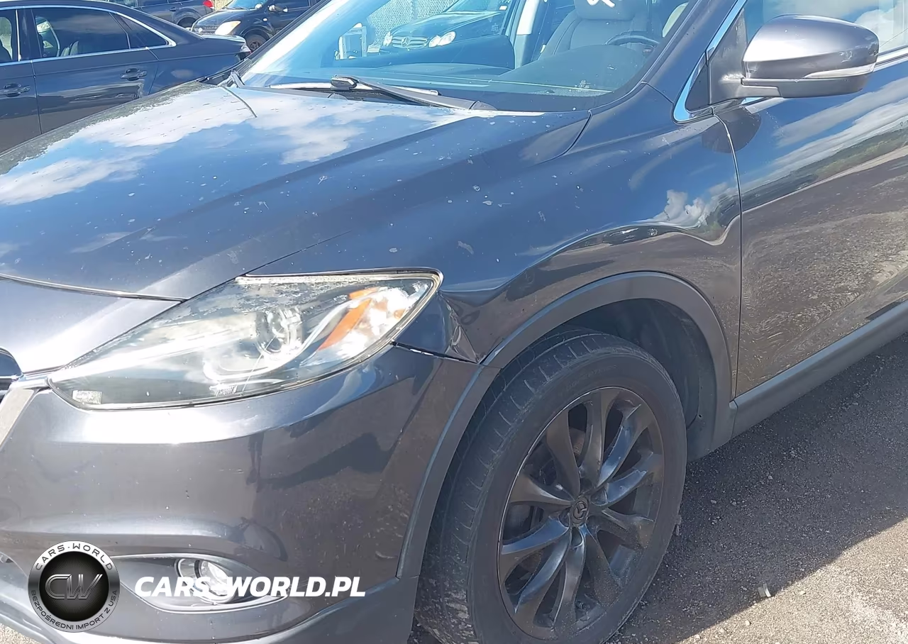 2014 MAZDA CX-9 GRAND TOURING VIN:JM3TB2DA4E0436340 - 6