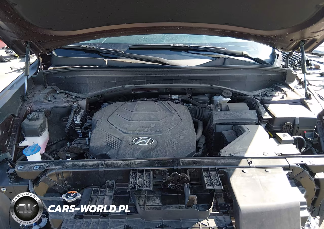 2023 Hyundai Palisade Sel VIN:KM8R24GE0PU532650 - 10