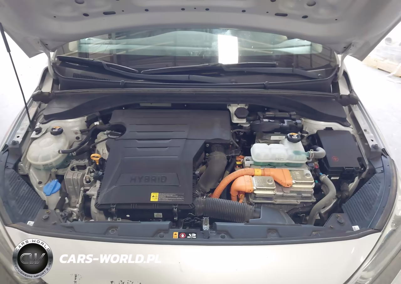 2019 Hyundai Ioniq Hybrid Blue VIN:KMHC65LC9KU159010 - 10
