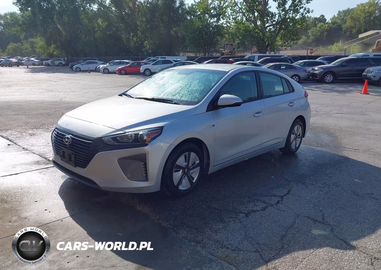 2019 Hyundai Ioniq Hybrid Blue VIN:KMHC65LC9KU159010 - 2