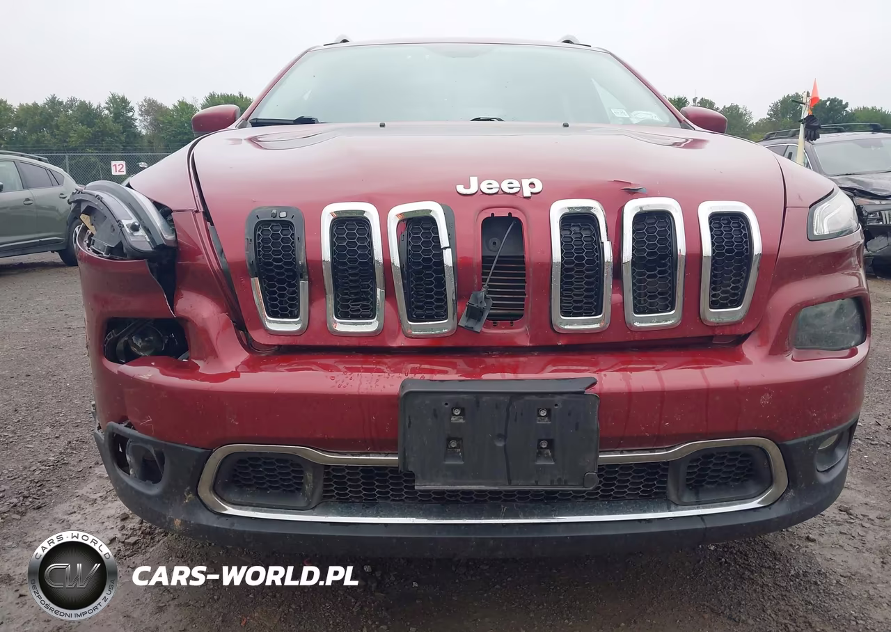 2016 Jeep Cherokee Limited VIN:1C4PJMDS8GW124409 - 17