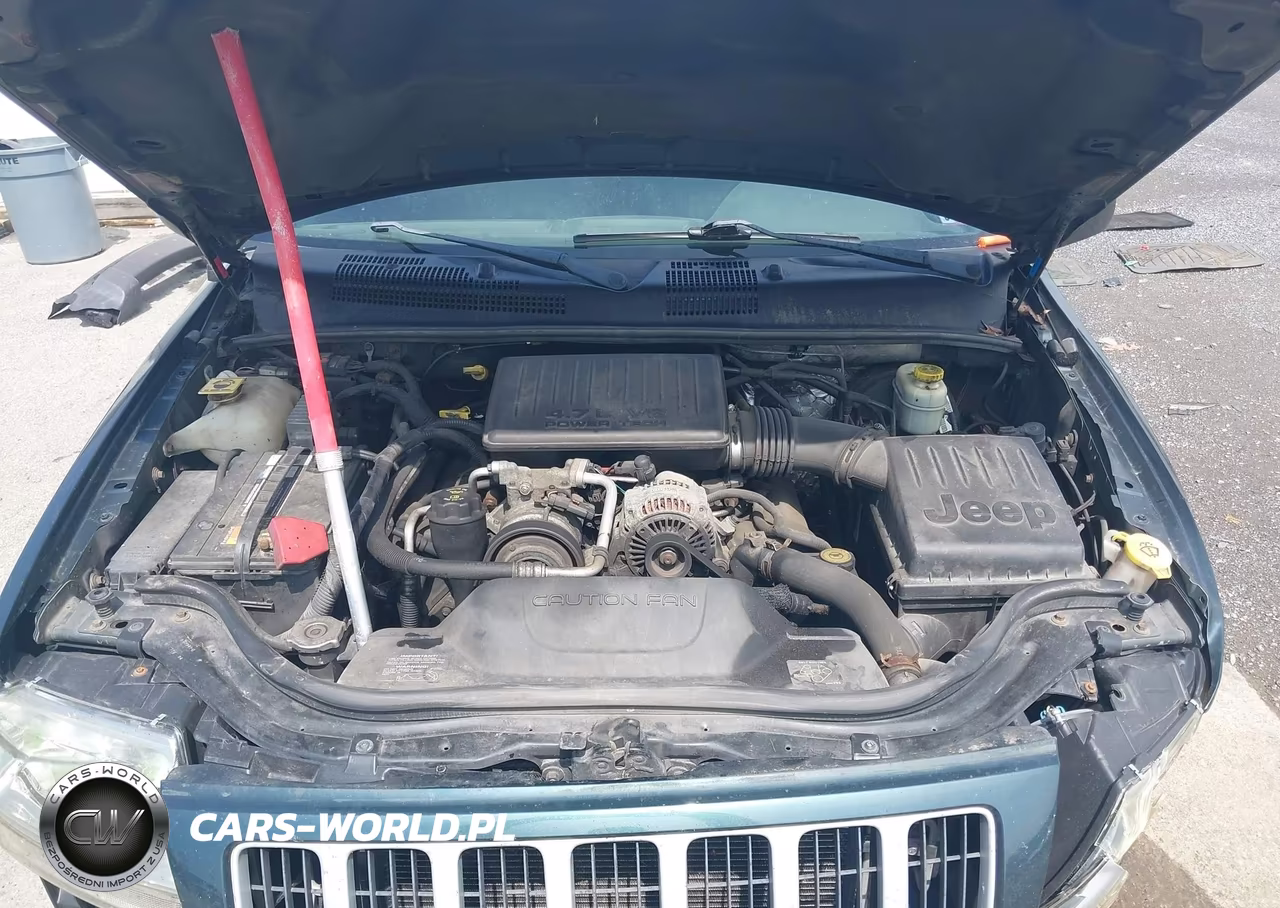 2004 Jeep Grand Cherokee Laredo VIN:1J4GW48N64C420980 - 10