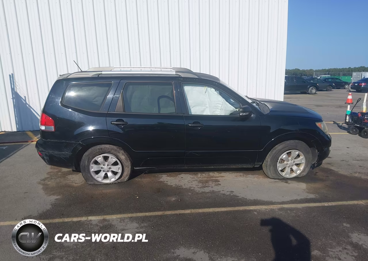 2009 Kia Borrego Lx VIN:KNDJJ741695030651 - 13