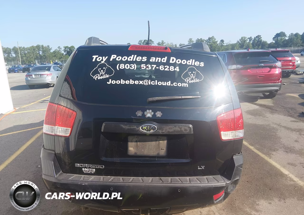 2009 Kia Borrego Lx VIN:KNDJJ741695030651 - 16