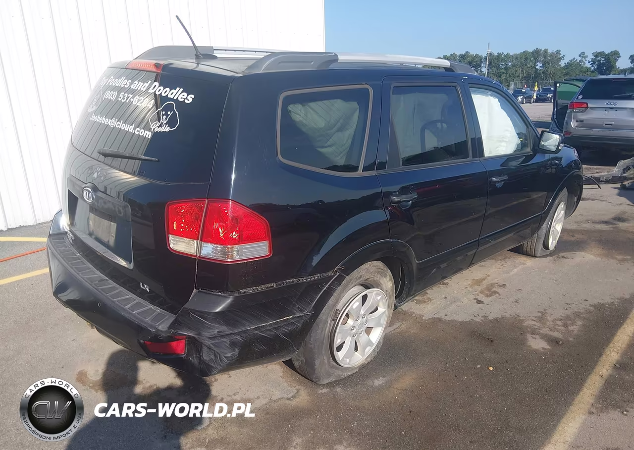 2009 Kia Borrego Lx VIN:KNDJJ741695030651 - 4