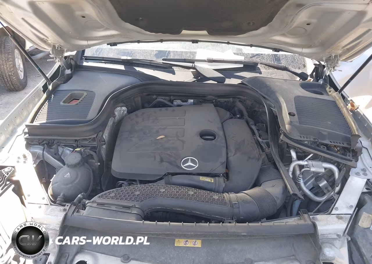 2020 Mercedes-Benz Glc 300 VIN:W1N0G8DB9LF769032 - 9