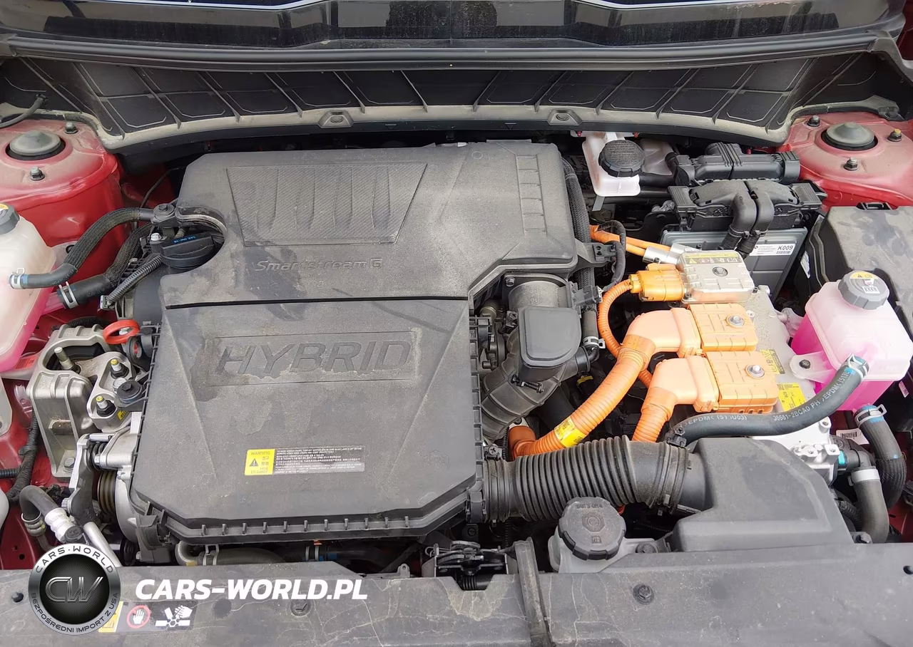 2024 Kia Niro Sx VIN:KNDCT3LE2R5184113 - 10