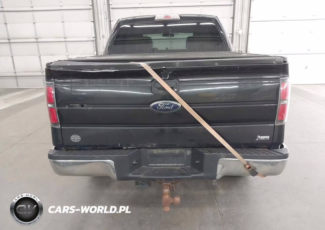 2010 Ford F-150 Fx4-Harley-Davidson-King Ranch-Lariat-Platinum-Xl-Xlt VIN:1FTFW1EV1AFC31037 - 16