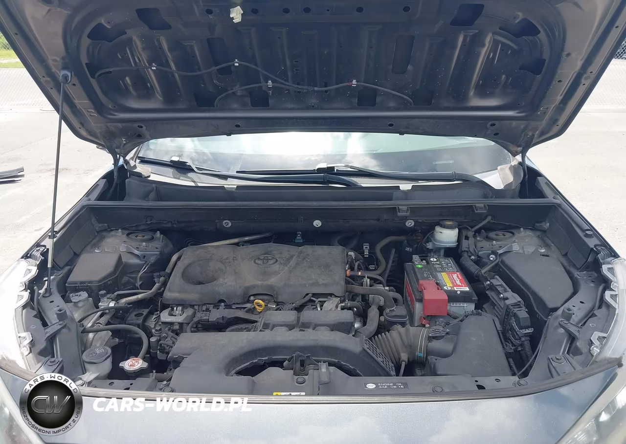 2019 Toyota Rav4 Le VIN:JTMK1RFV1KD516067 - 10