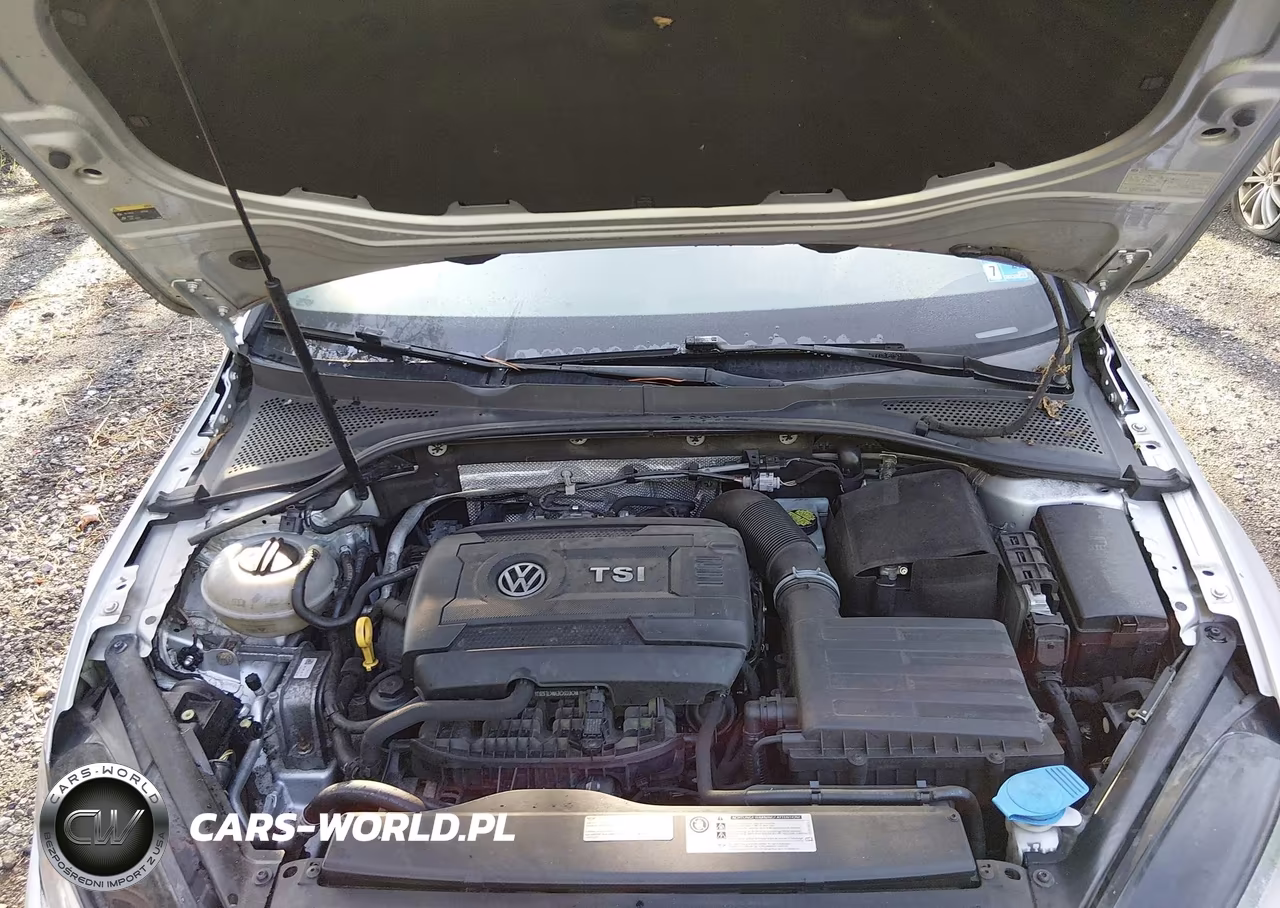 2015 Volkswagen Golf Gti 2.0T S 4-Door VIN:3VW4T7AU6FM031937 - 10