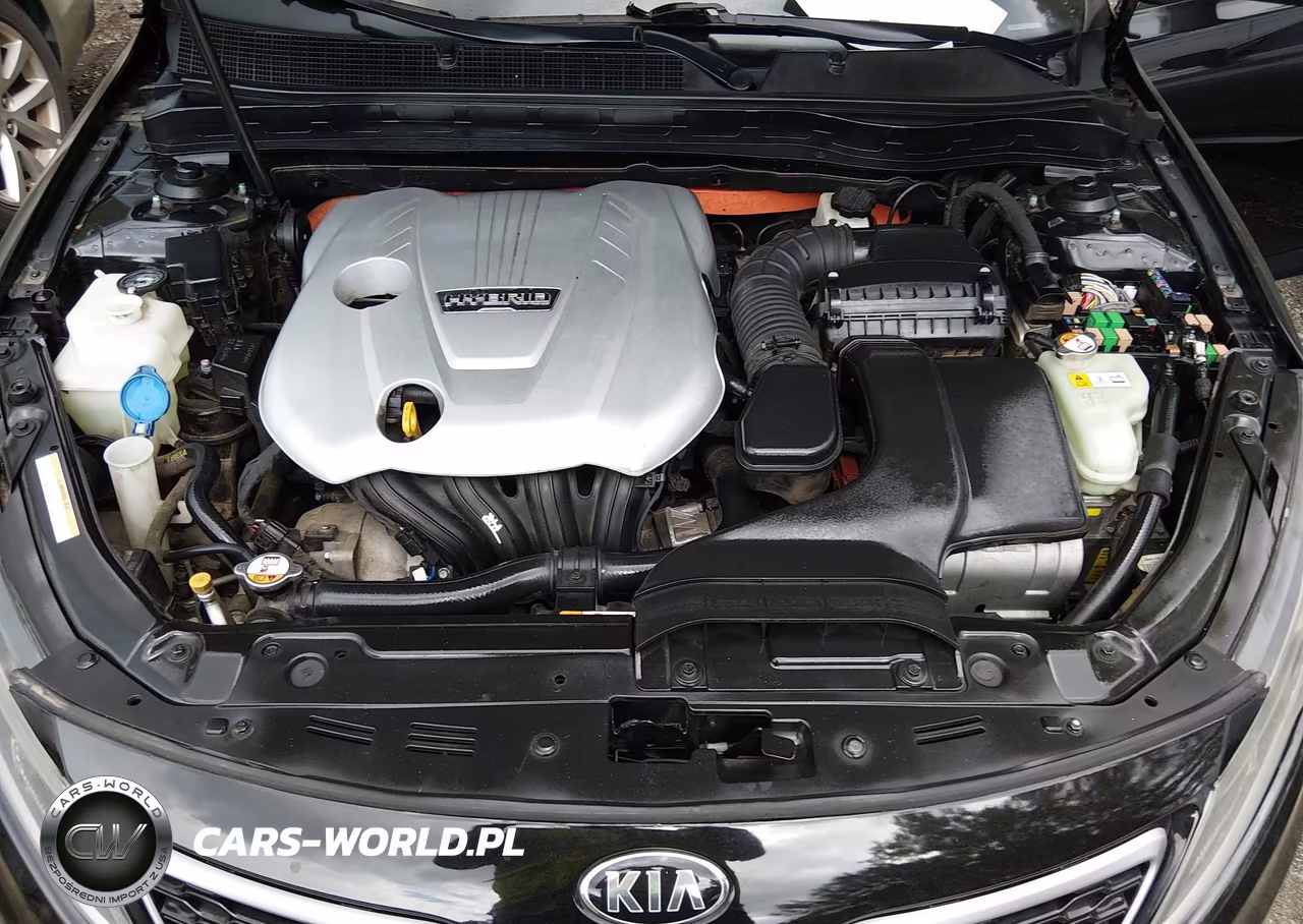 2012 Kia Optima Hybrid Ex VIN:KNAGM4AD5C5022057 - 10
