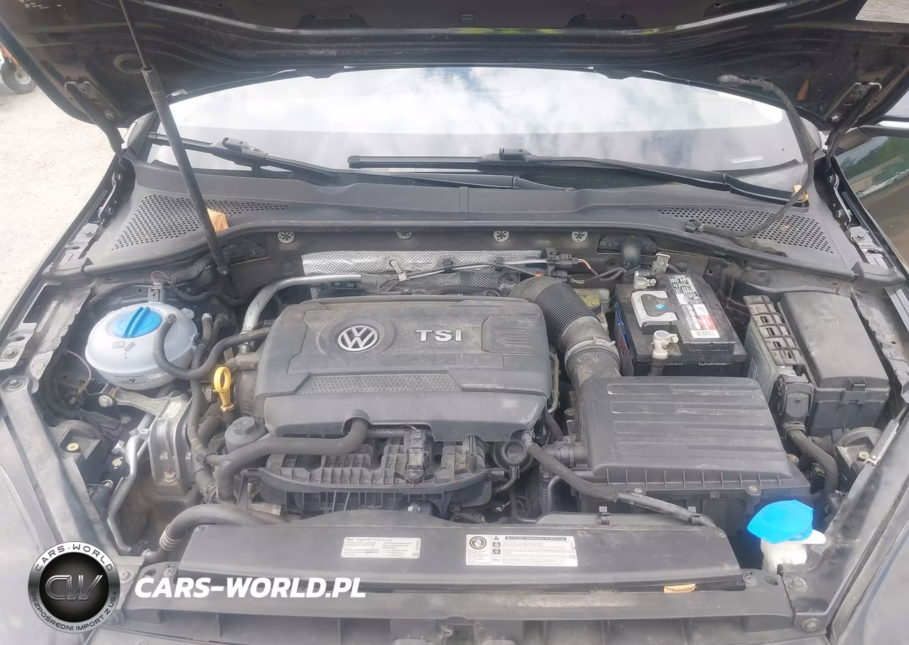 2017 Volkswagen Golf Sportwagen Tsi S VIN:3VWA17AUXHM502080 - 10