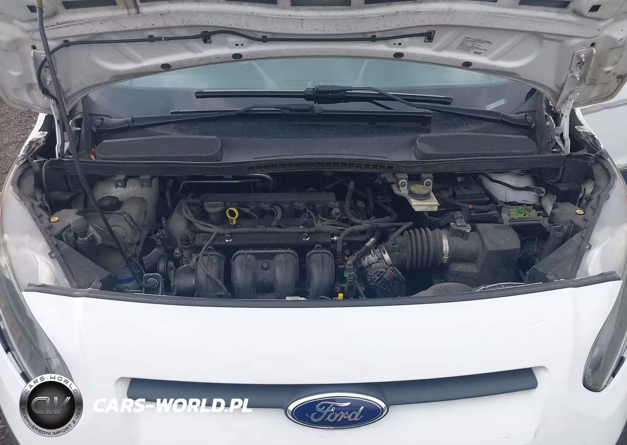 2015 Ford Transit Connect Xl VIN:NM0LS7E70F1220289 - 10