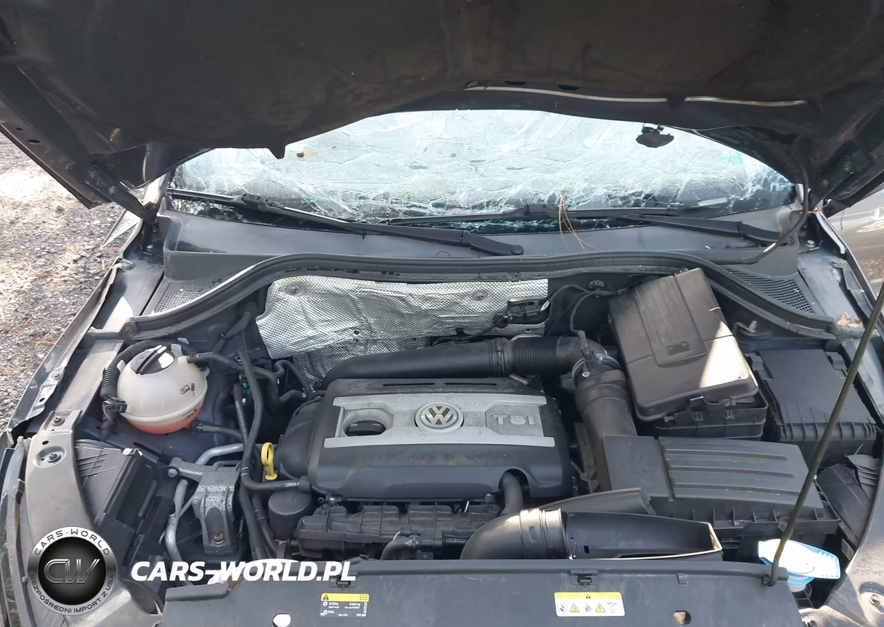 2016 Volkswagen Tiguan Se VIN:WVGBV7AX2GW579767 - 10