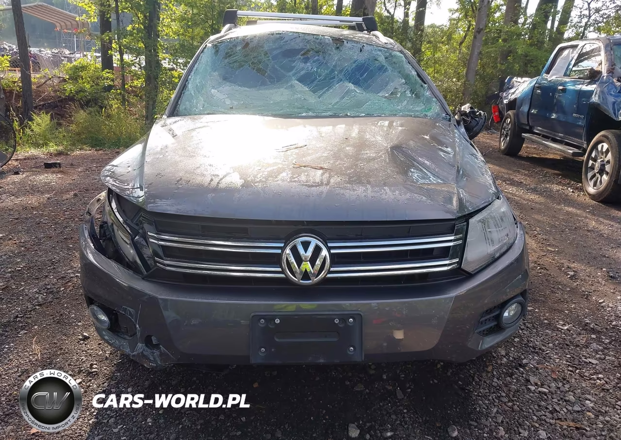 2016 Volkswagen Tiguan Se VIN:WVGBV7AX2GW579767 - 12