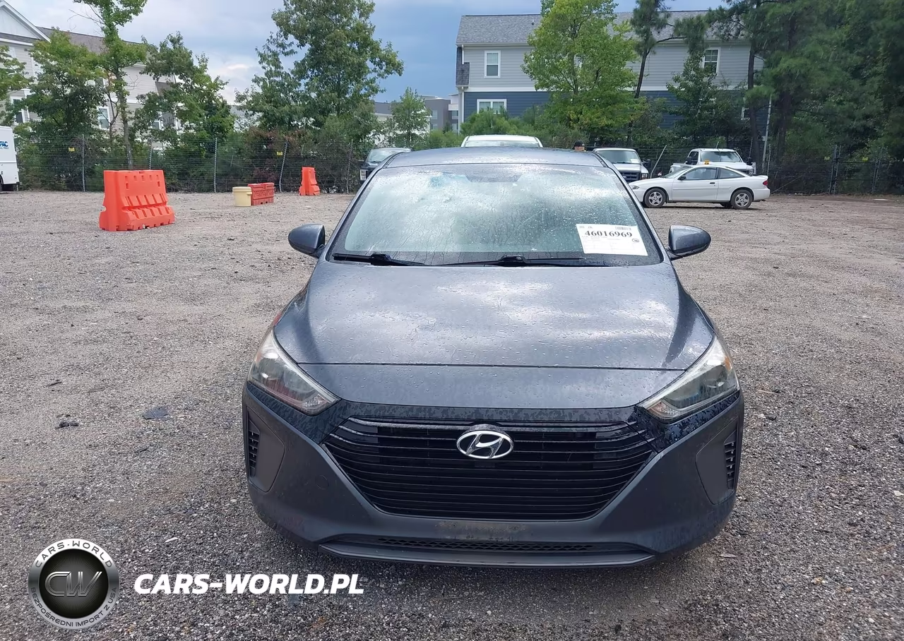 2019 Hyundai Ioniq Hybrid Blue VIN:KMHC65LC7KU156459 - 12