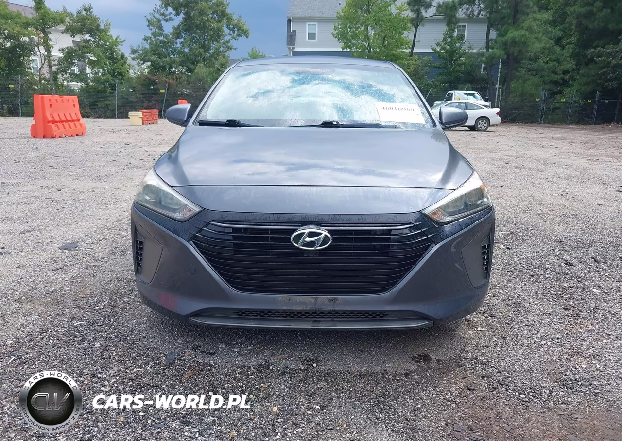 2019 Hyundai Ioniq Hybrid Blue VIN:KMHC65LC7KU156459 - 6