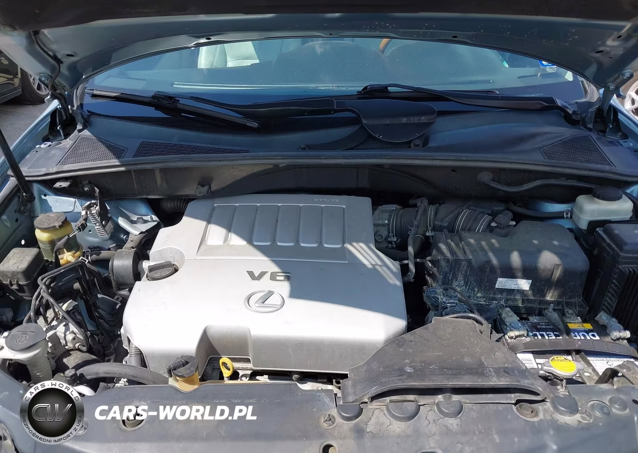 2007 Lexus Rx 350 VIN:2T2HK31U17C017529 - 10