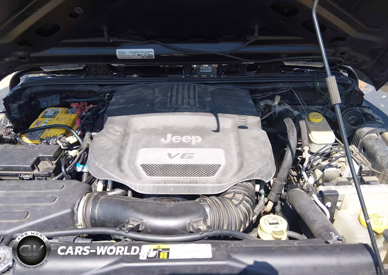 2016 Jeep Wrangler Unlimited Rubicon VIN:1C4HJWFG3GL119659 - 10