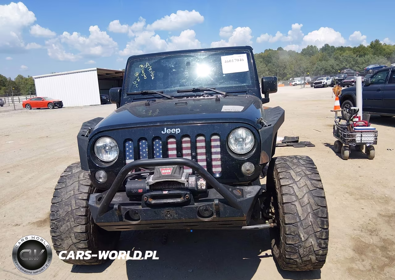 2016 Jeep Wrangler Unlimited Rubicon VIN:1C4HJWFG3GL119659 - 12