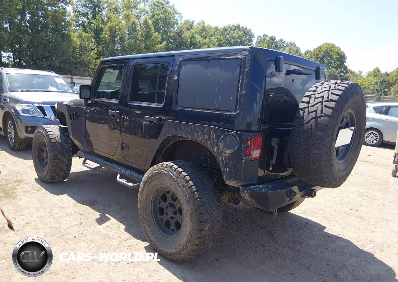 2016 Jeep Wrangler Unlimited Rubicon VIN:1C4HJWFG3GL119659 - 3